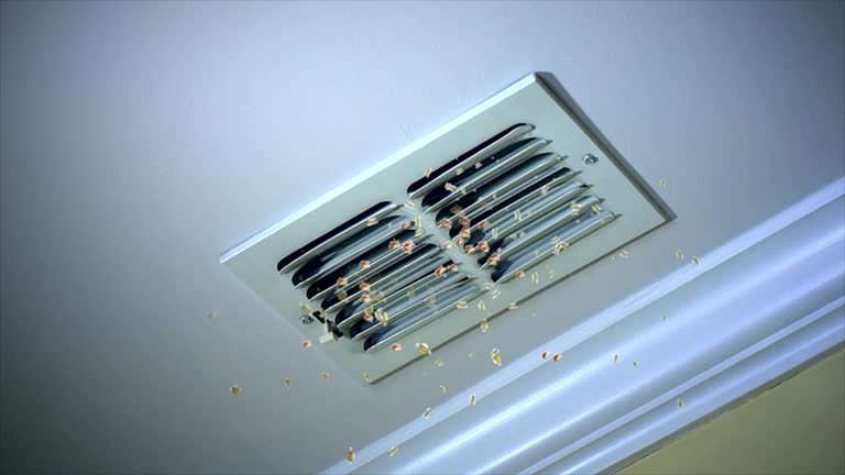 Best HVAC Duct Inspection Services  in St Andrews, SC