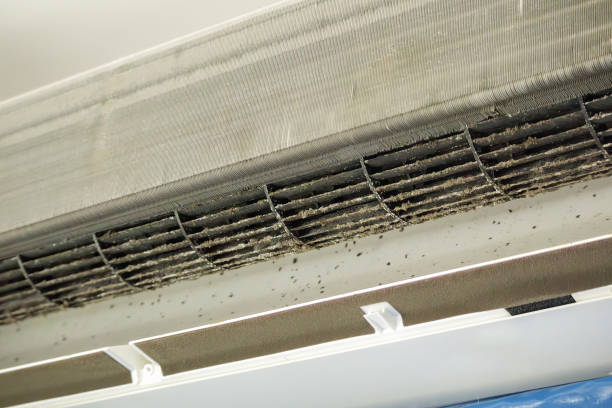 Best Best Air Duct Cleaning Company  in St Andrews, SC